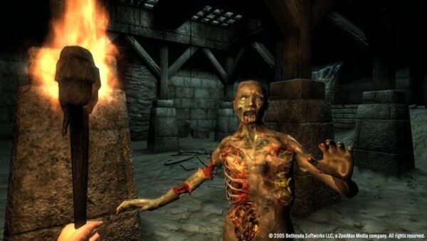 The Elder Scrolls IV: Oblivion – Game of the Year Edition Deluxe screenshot