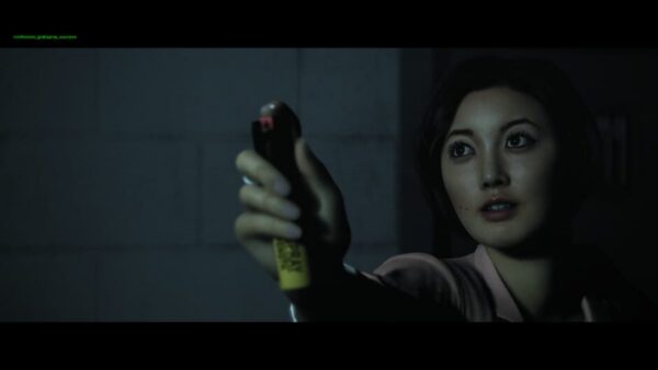 Hidden Agenda screenshot