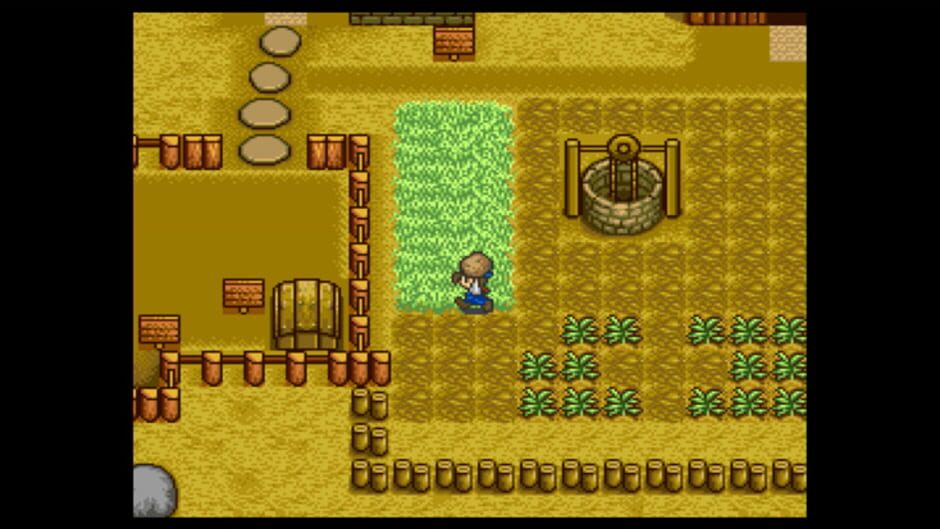 Harvest Moon screenshot