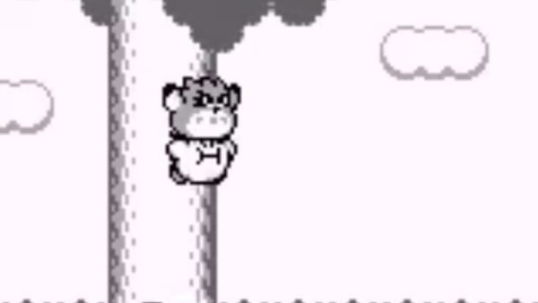 Kirby&rsquo;s Dream Land 2 screenshot