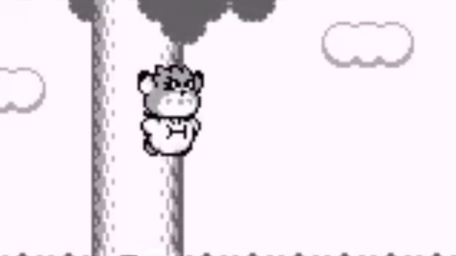 Kirby&rsquo;s Dream Land 2 screenshot