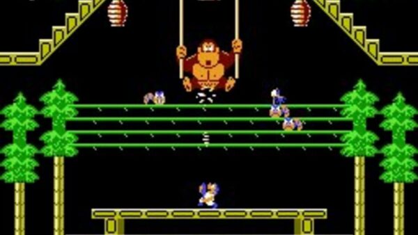 Donkey Kong 3 screenshot