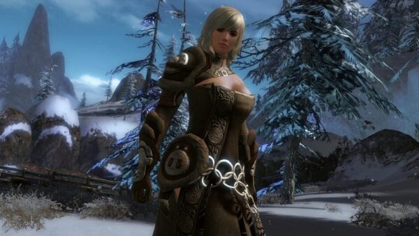 Guild Wars 2 screenshot