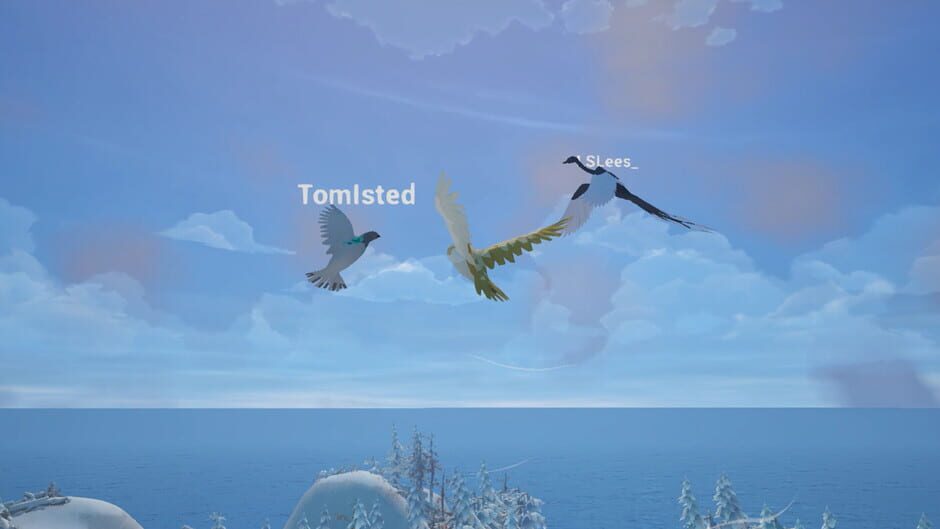 Bird Game 3 screenshot