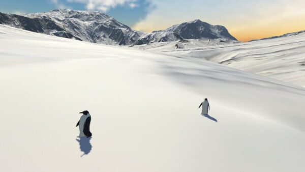 But Why Penguin? screenshot