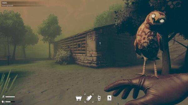 Birds Watching screenshot
