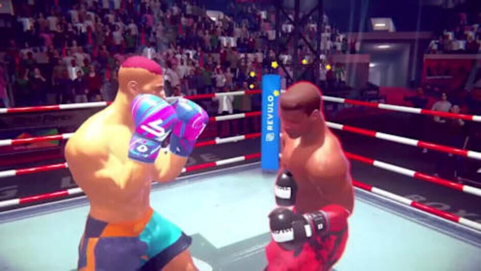 Casual Sport Series: Boxing screenshot
