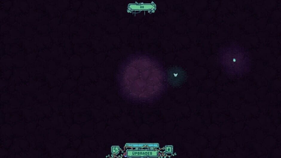 Flourish screenshot