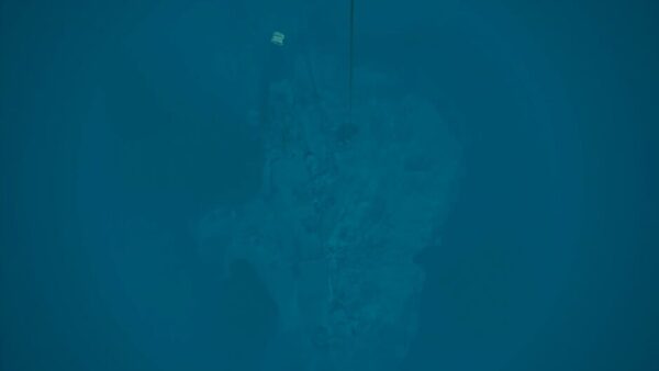 Kodas Nereus screenshot