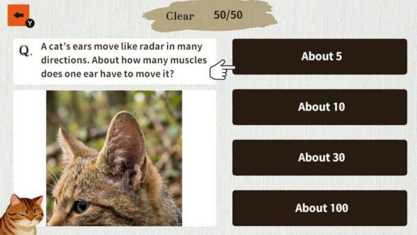 Cat Doctor: For Loyal Servants screenshot