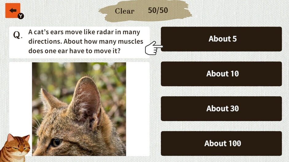 Cat Doctor: For Loyal Servants screenshot
