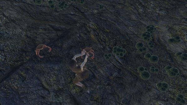 Skara screenshot