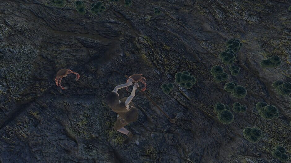 Skara screenshot