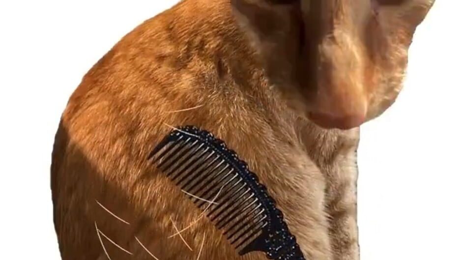Brush Jjaemu screenshot