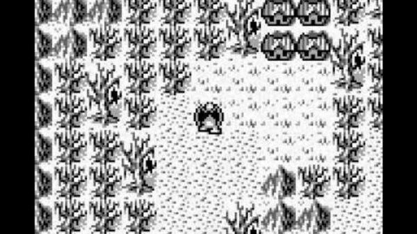 Gargoyle&rsquo;s Quest screenshot