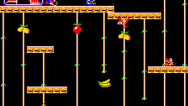 Donkey Kong Junior screenshot