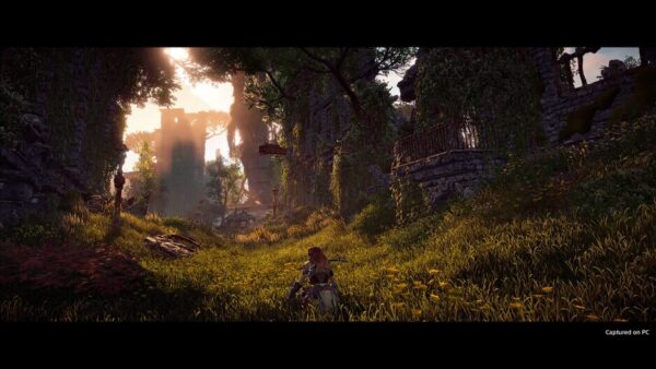 Horizon Zero Dawn: Complete Edition screenshot