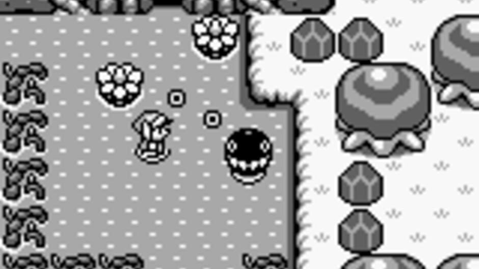 The Legend of Zelda: Link&rsquo;s Awakening screenshot