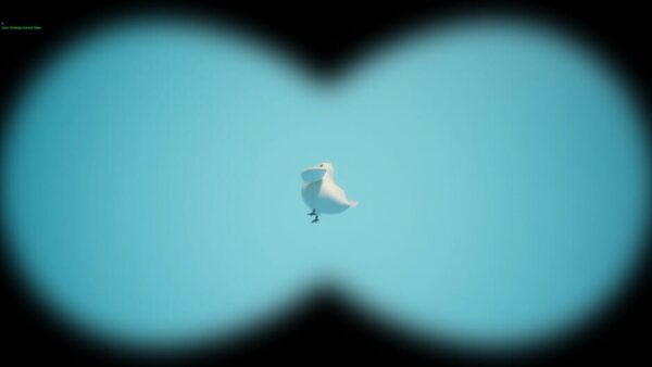 Bird Watching Simulator screenshot