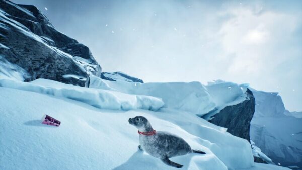 Wildlife Rescue Simulator screenshot