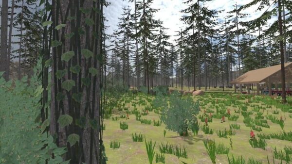 Forest Construction VR screenshot
