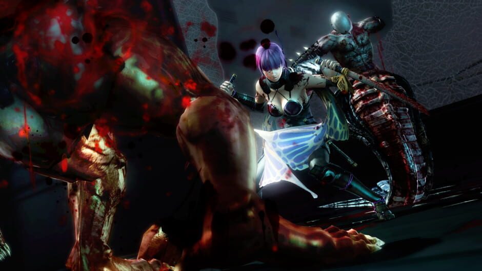 Ninja Gaiden 3: Razor&rsquo;s Edge screenshot